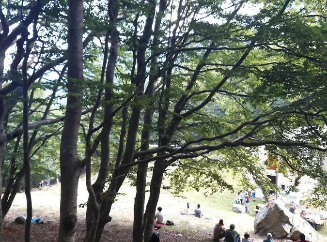 Appartement Casa Augusta *